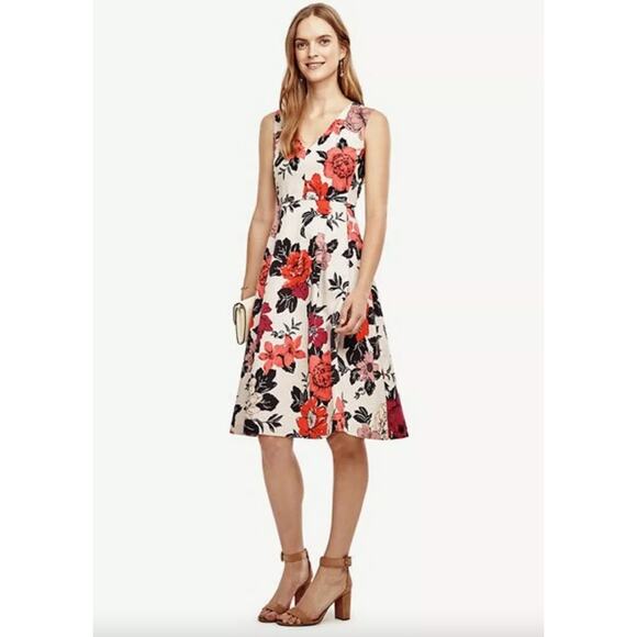 Ann Taylor Sleeveless Sundrenched Floral Print Fit & Flare Dress Size 6 NEW - Picture 1 of 14
